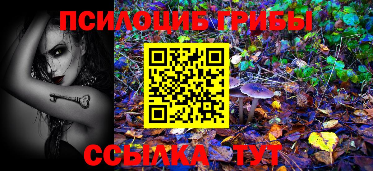 Псилоцибиновые грибы GOLDEN TEACHER Отрадный